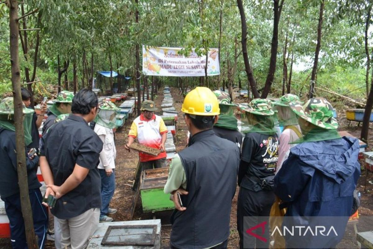 Mahasiswa Jepang Kunjungi Industri Kertas dan HTI di Riau