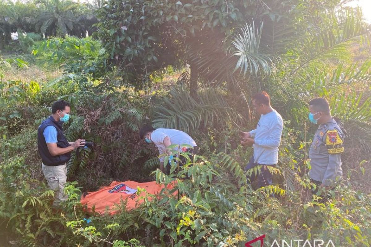 Tim gabungan Polda Babel evakuasi warga hilang di kebun kepala sawit