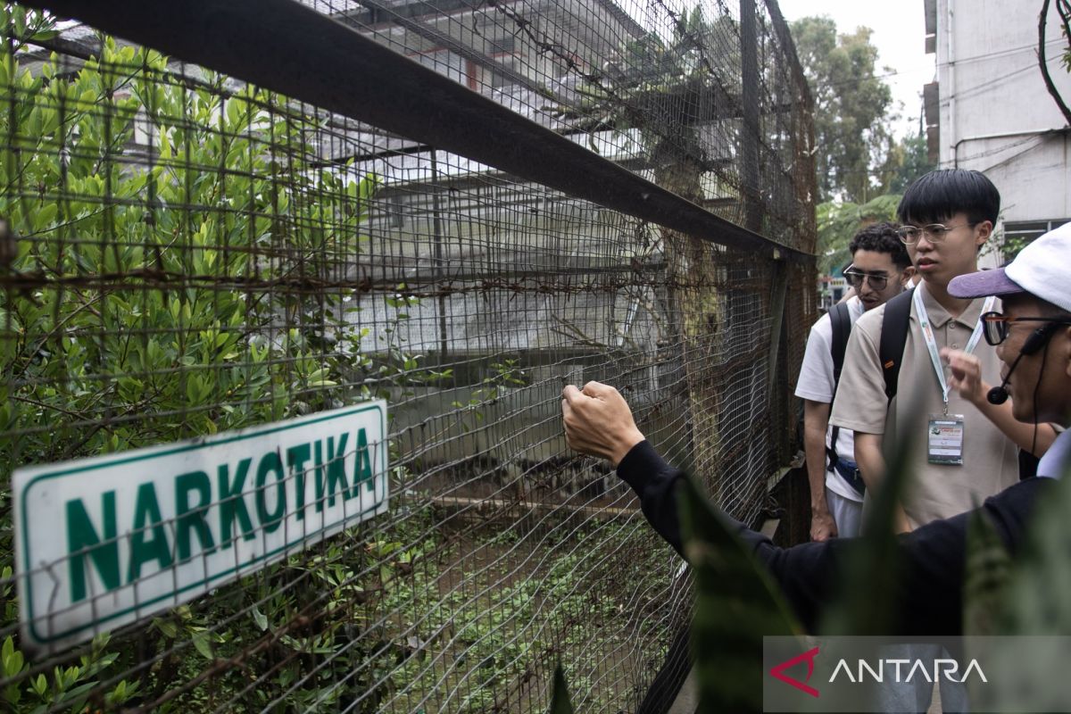 BRIN teliti kayu raru sebagai herbal antidiabetes berbasis lokal
