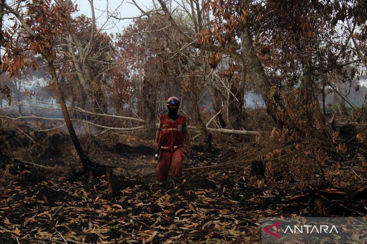 BMKG warns of rising hotspots, fire risk peaks in Kalimantan, Sumatra