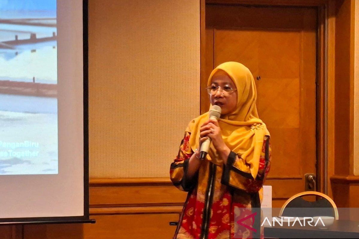 KKP fokus intensifikasi lahan garam di tiga wilayah Pantura pada 2025