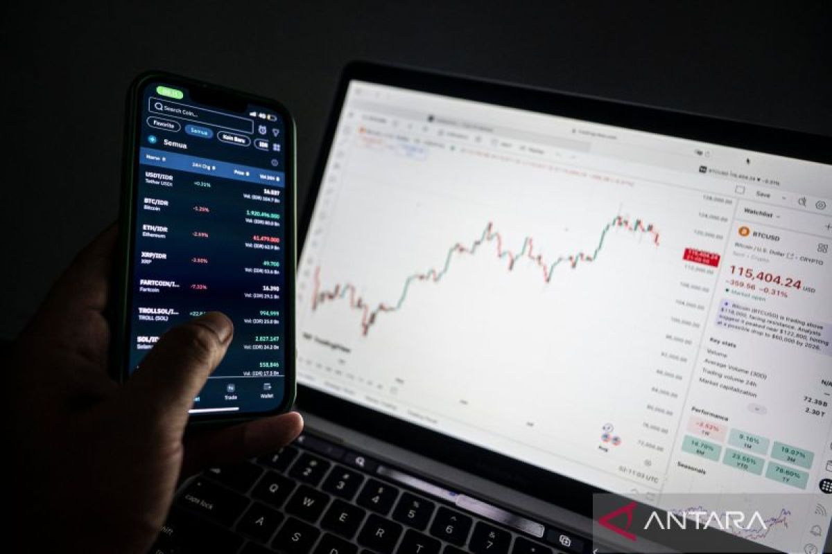 Analis nilai Bitcoin tetap menjanjikan meski pelemahan terus terjadi