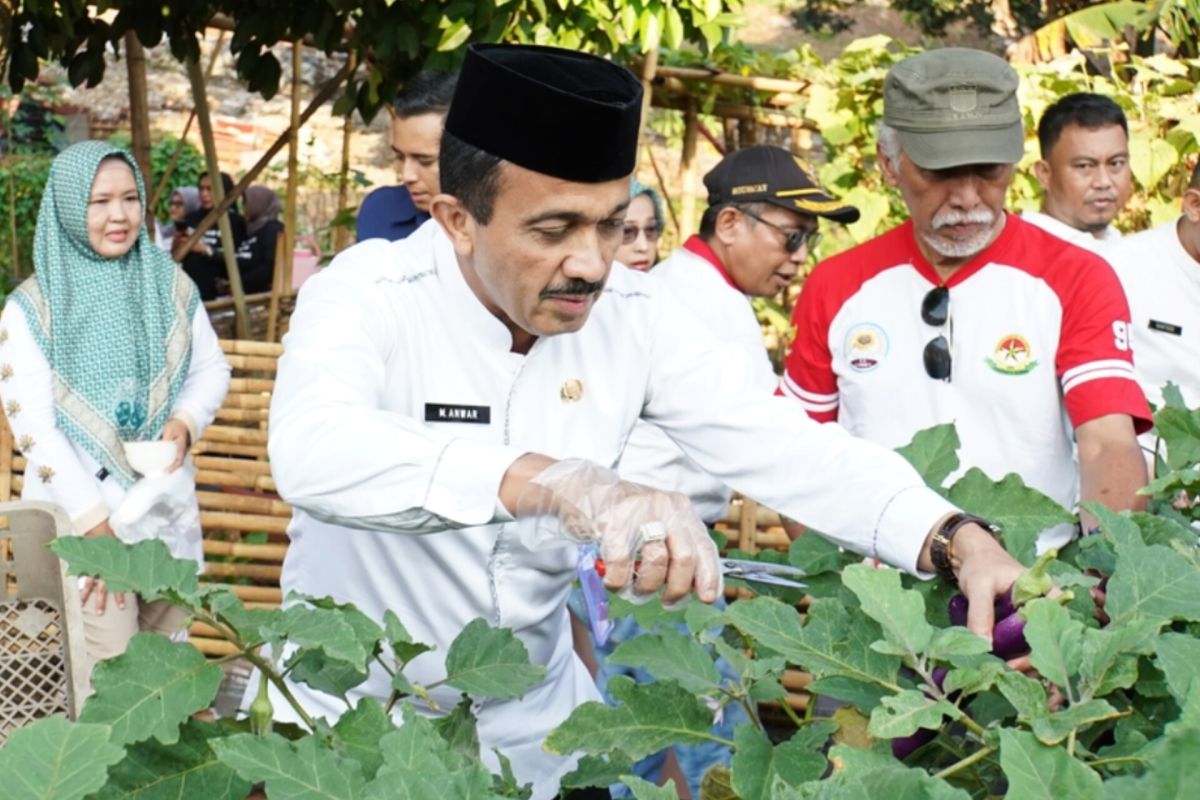 Jaksel ajak warga kembangan "urban farming" untuk ketahanan pangan