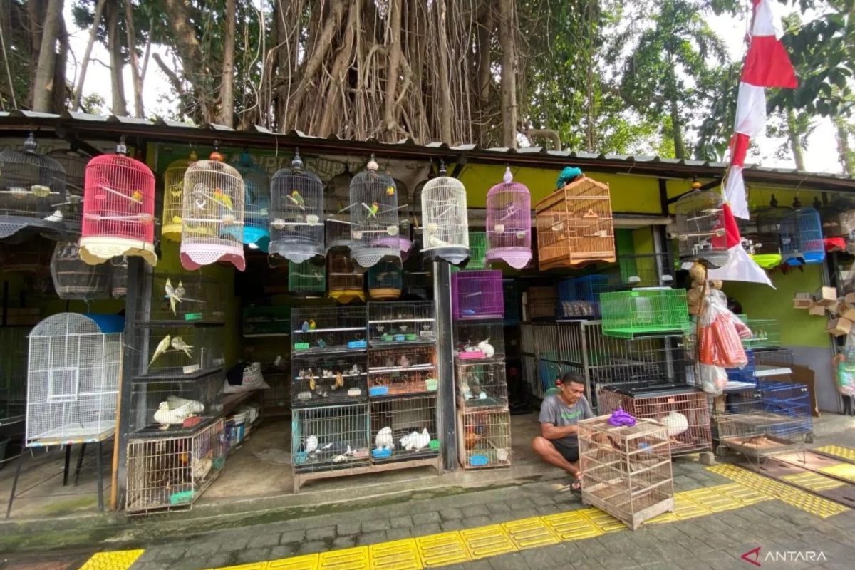 5 rekomendasi pasar hewan lengkap di Jakarta yang wajib dikunjungi