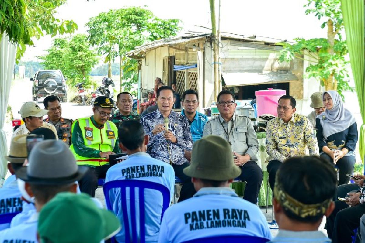 Lamongan optimalkan musim tanam III guna capai target swasembada pangan