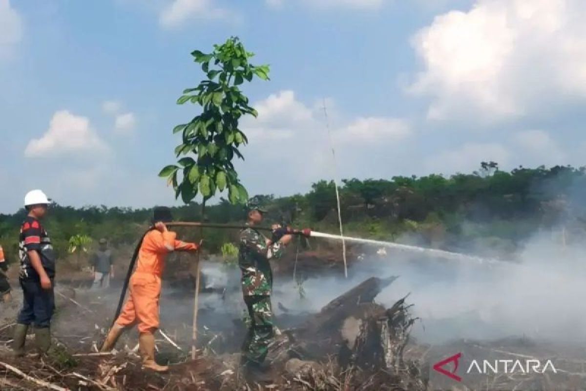 Kebakaran lahan di Sungai Rotan Muara Enim masih terjadi, BPBD sebut sudah hanguskan 6 hektare