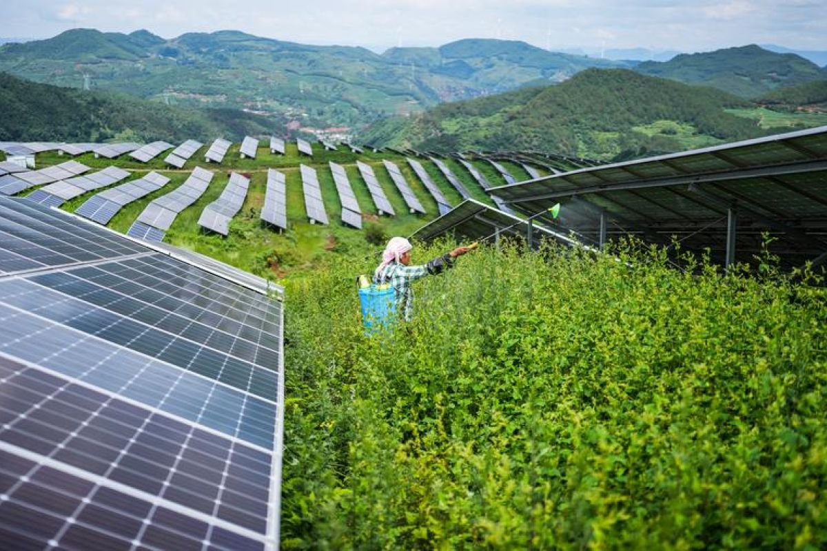 Energi terbarukan berkembang pesat di tengah transisi hijau China