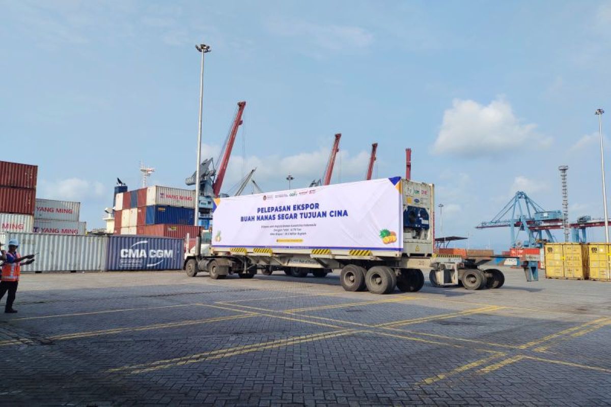 BPS: Neraca perdagangan Lampung surplus 383,55 juta dolar AS pada Juni 2025