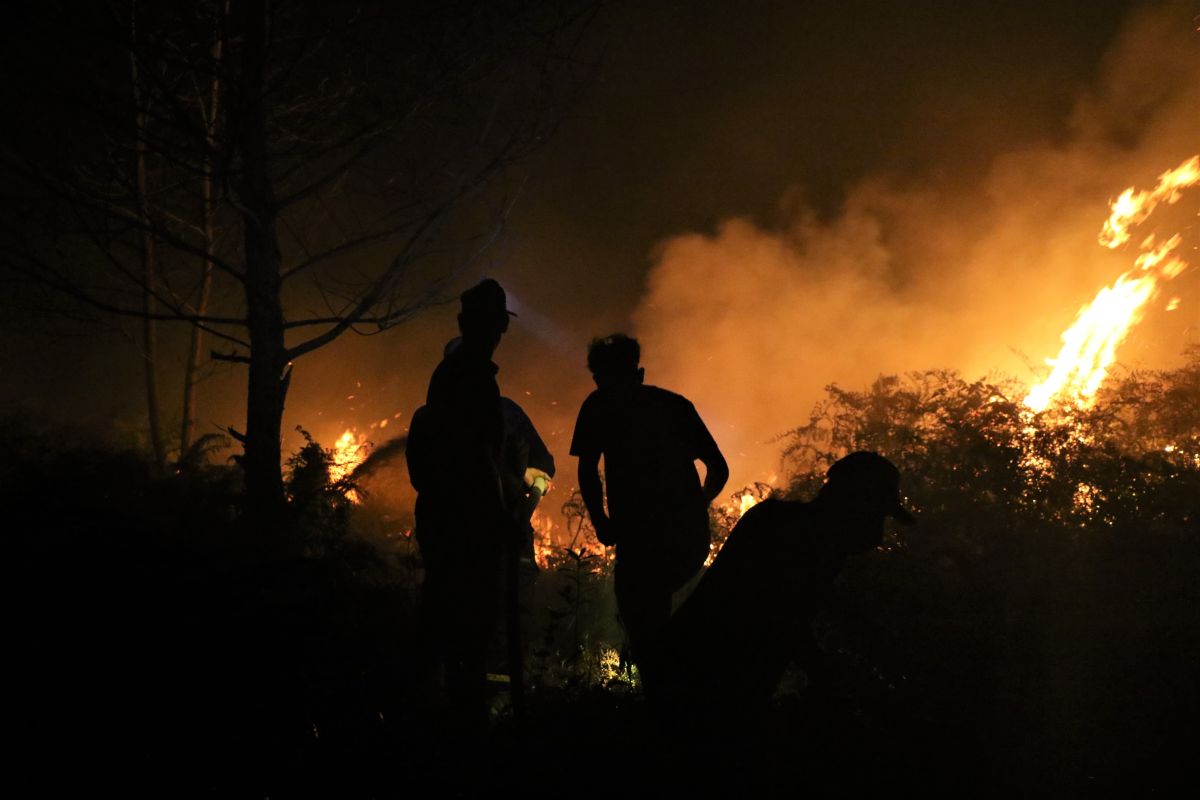 Lahan terbakar di Singkawang mencapai 100 hektare