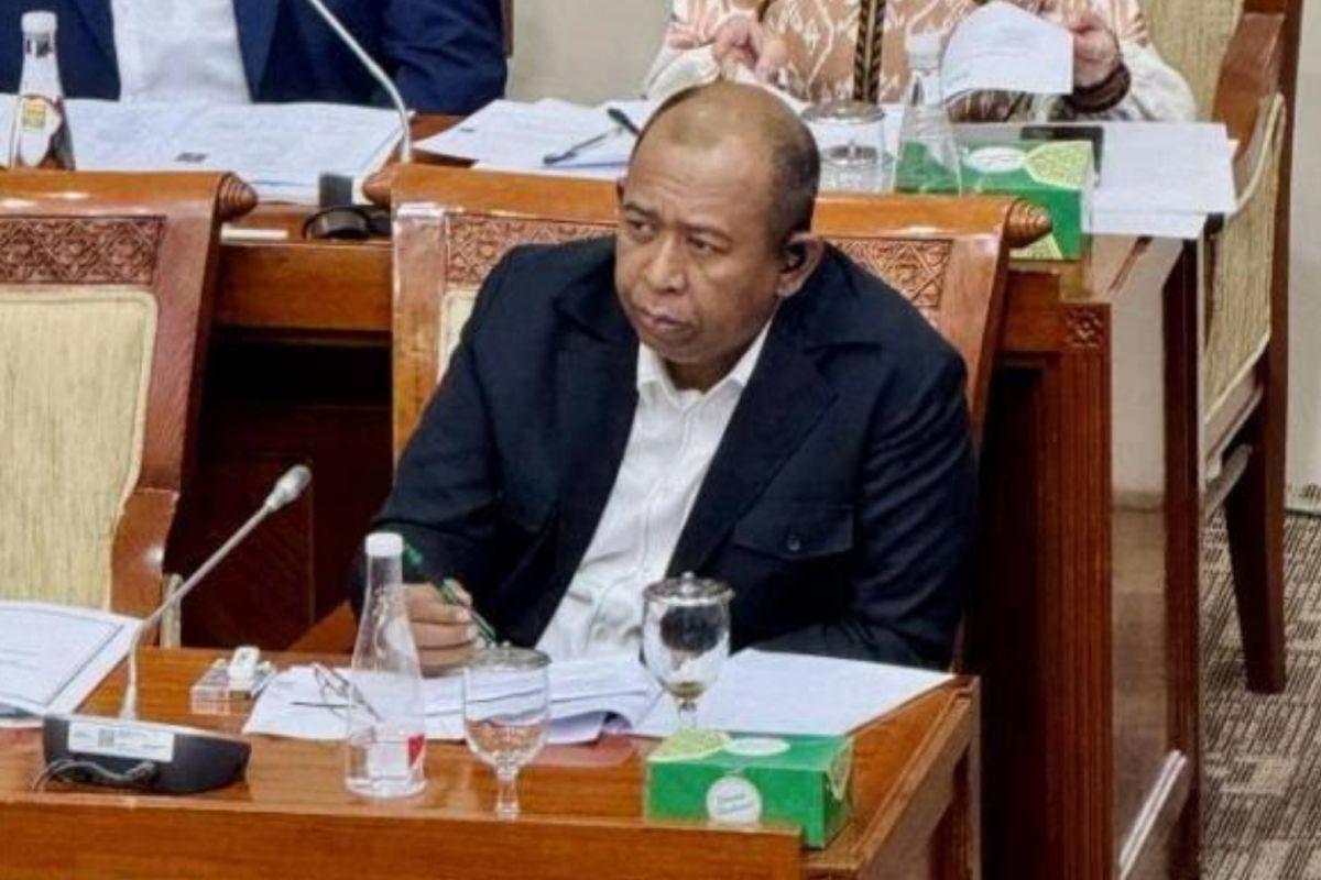 Anggota DPR sebut budaya pop "One Piece" tak boleh ganggu kebangsaan