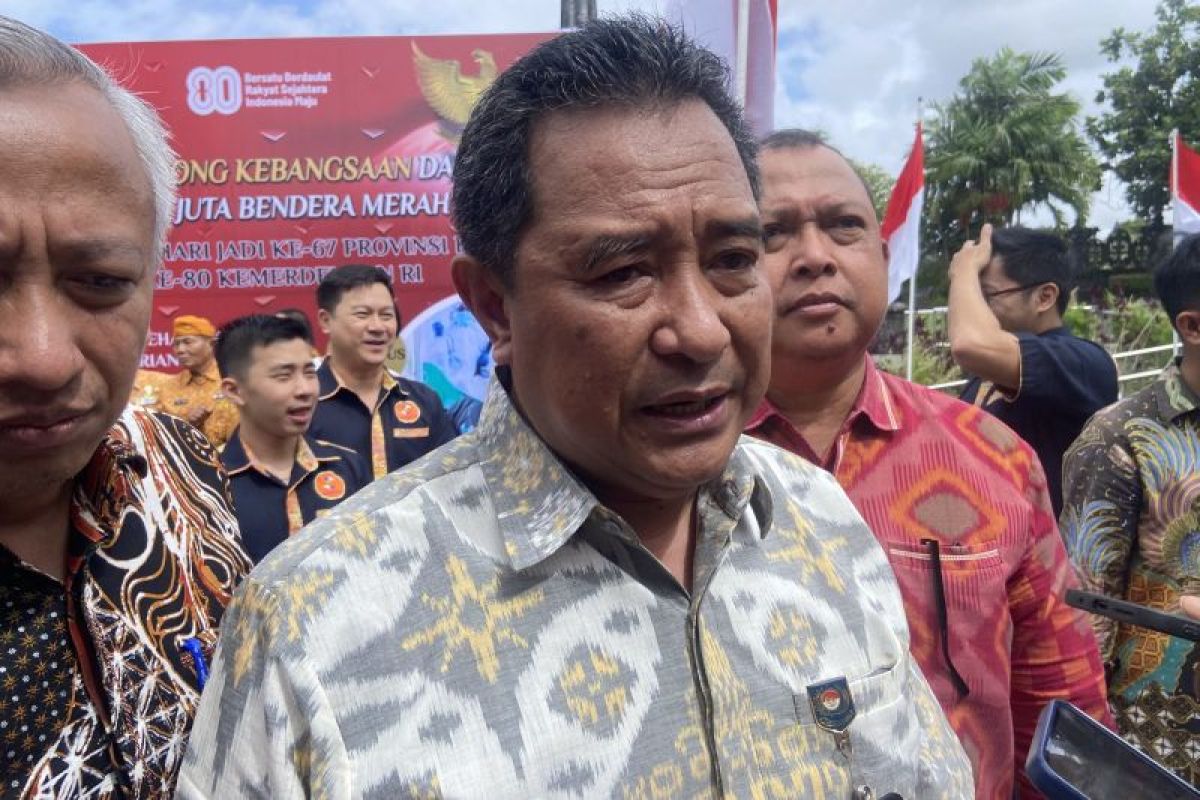 Ministry urges unity amid One Piece flag trend