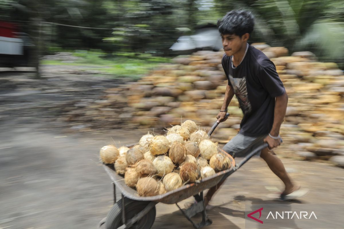 9 produk olahan buah kelapa dengan nilai ekonomi tinggi