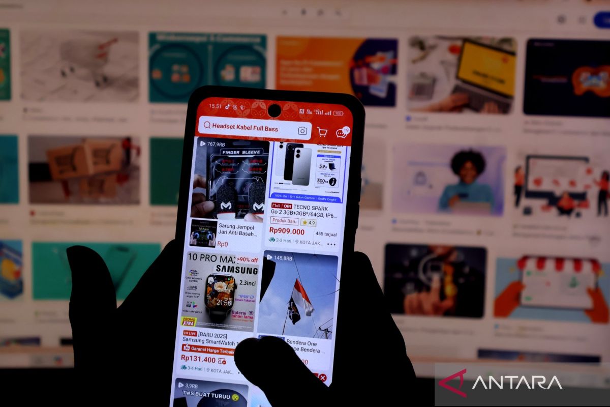 Bijak gunakan PayLater, kenali manfaat, risiko, dan pengguna idealnya