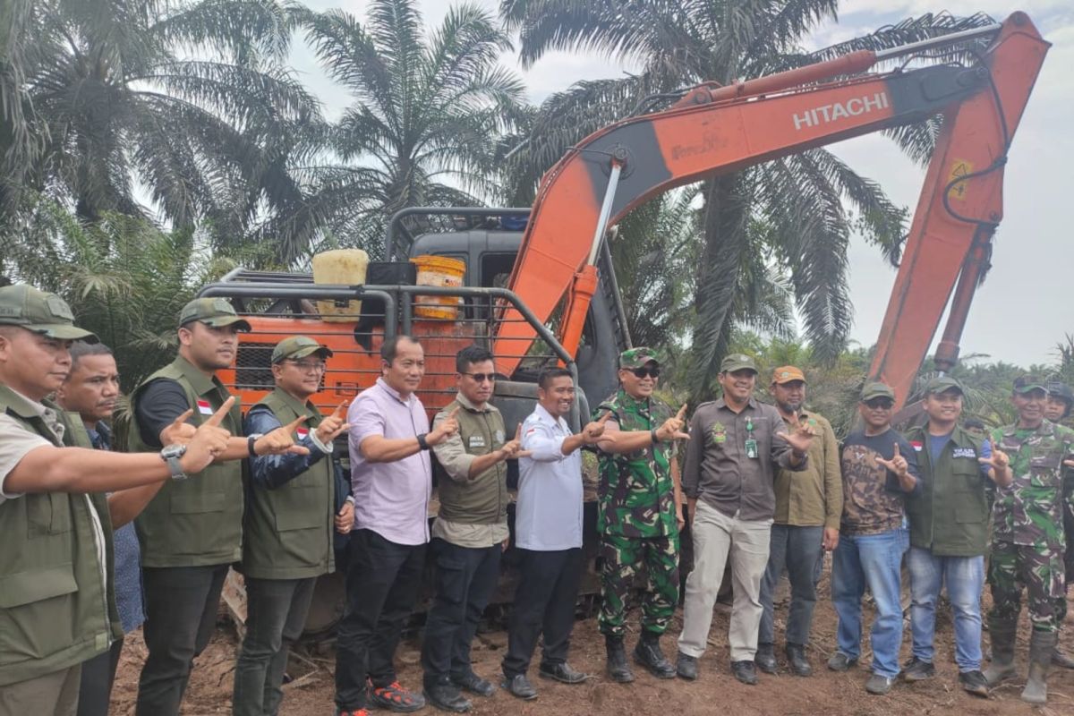 Kemenhut dan Satgas PKH musnahkan sawit seluas 4.700 ha di Tesso Nilo