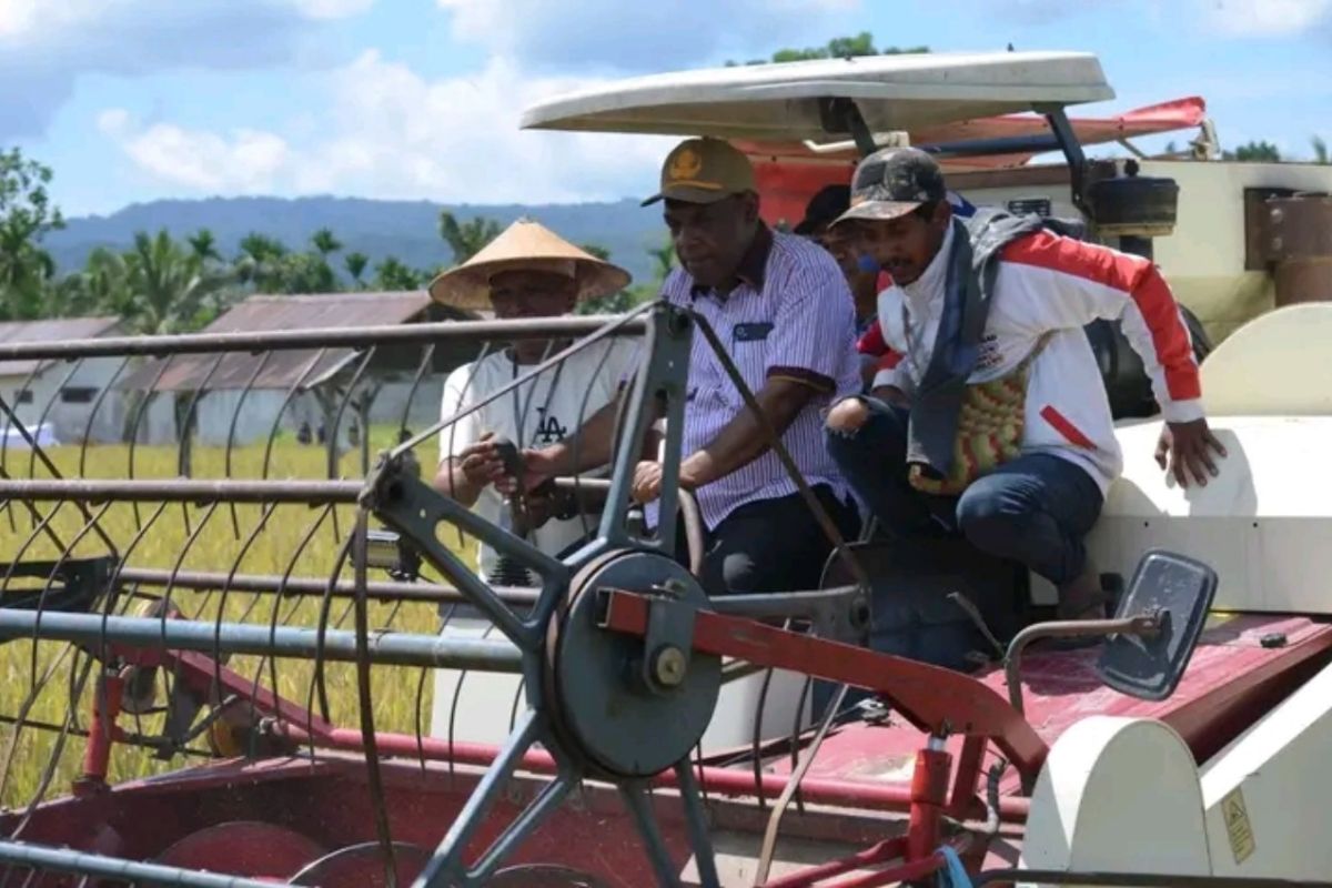 Pemkab Jayapura serahkan mesin panen padi petani di Namblong