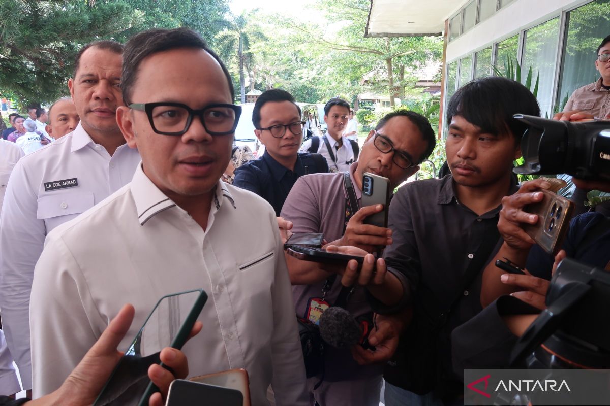 Govt says 'One Piece' pirate flag trend not banned in Indonesia