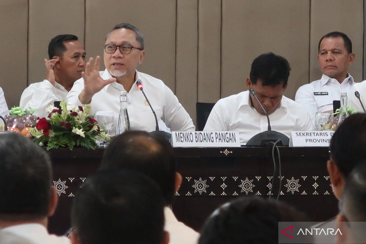 Kopdes Merah Putih mempermudah pemerintah gelar operasi pasar