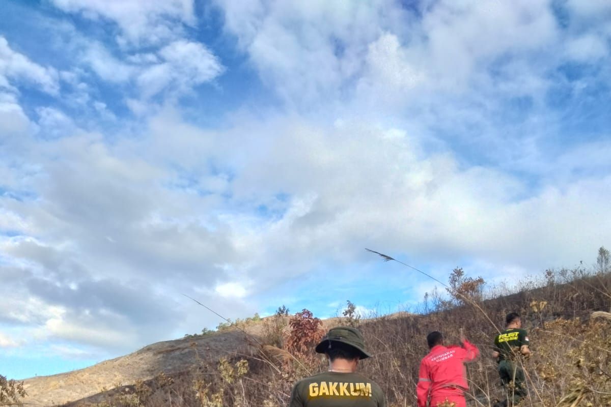 KPHL: seluruh titik karhutla di Bukit Teletabis Pasaman sudah padam