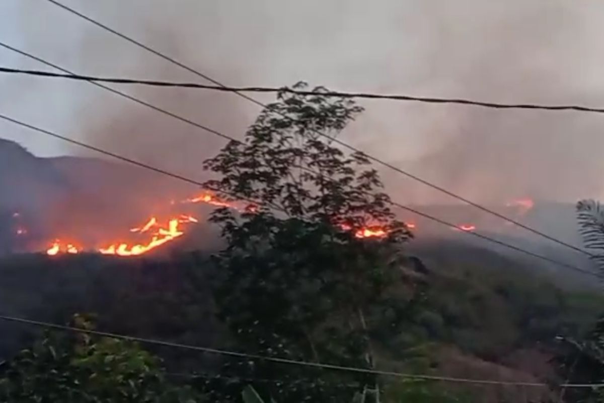 KPHL: Penyebab kebakaran 101 hektare hutan Pasaman belum diketahui