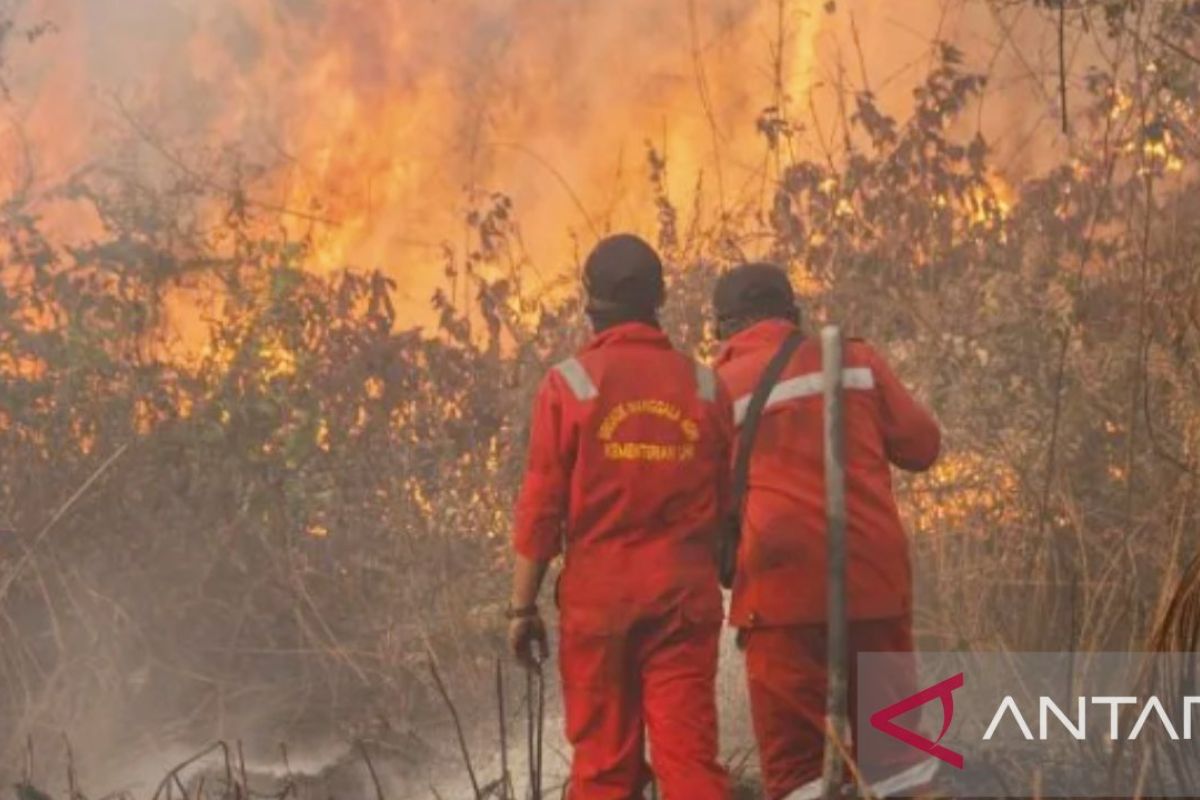 Purwakarta waspadai bencana kekeringan dan karhutla