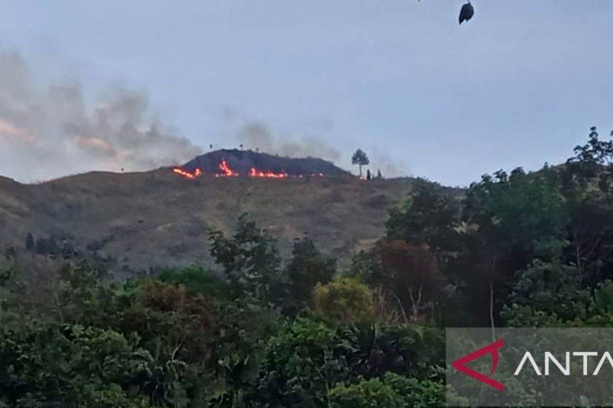 Dishut Sumbar selidiki penyebab kebakaran 100 hektare lahan di Pasaman