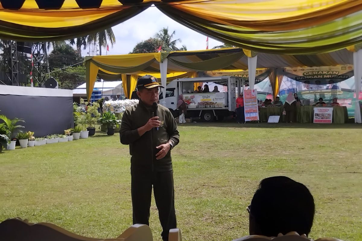 Gubernur Jambi  apresiasi kolaborasi dalam gelaran Gerakan Pangan Murah