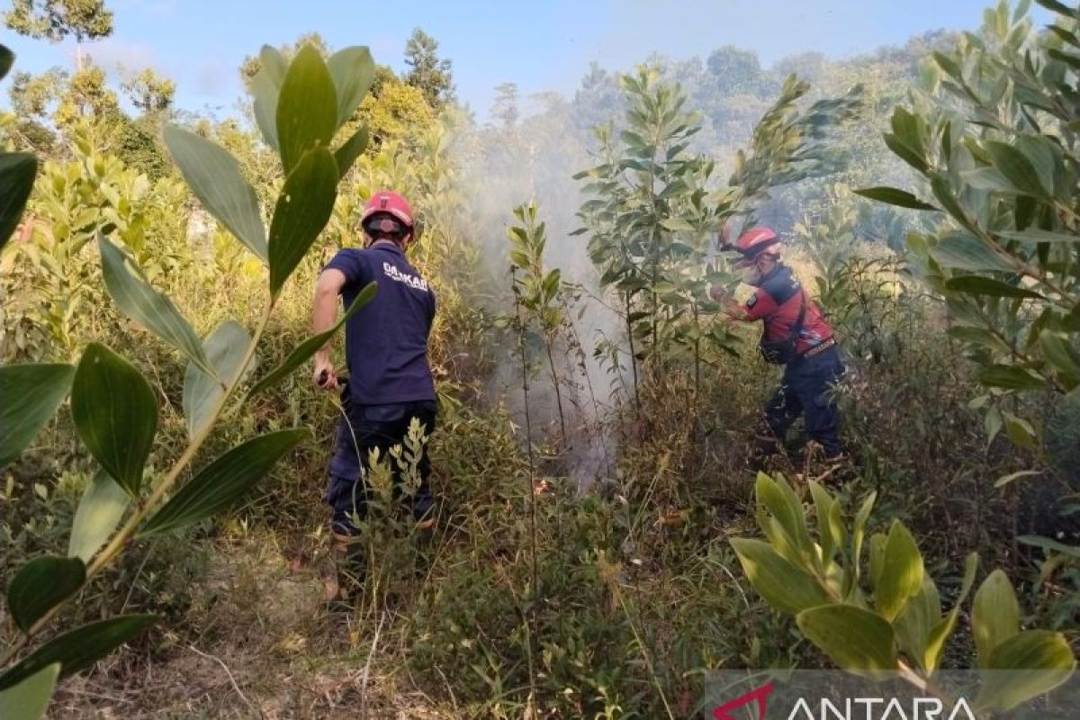 BPBD Belitung tangani dua karhutla dalam sehari