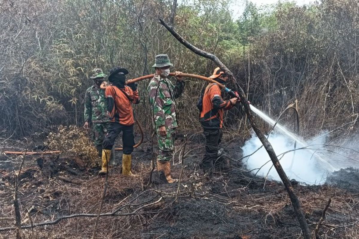 BPBD Muara Enim sebut karhutla di Sungai Rotan capai 10 hektare
