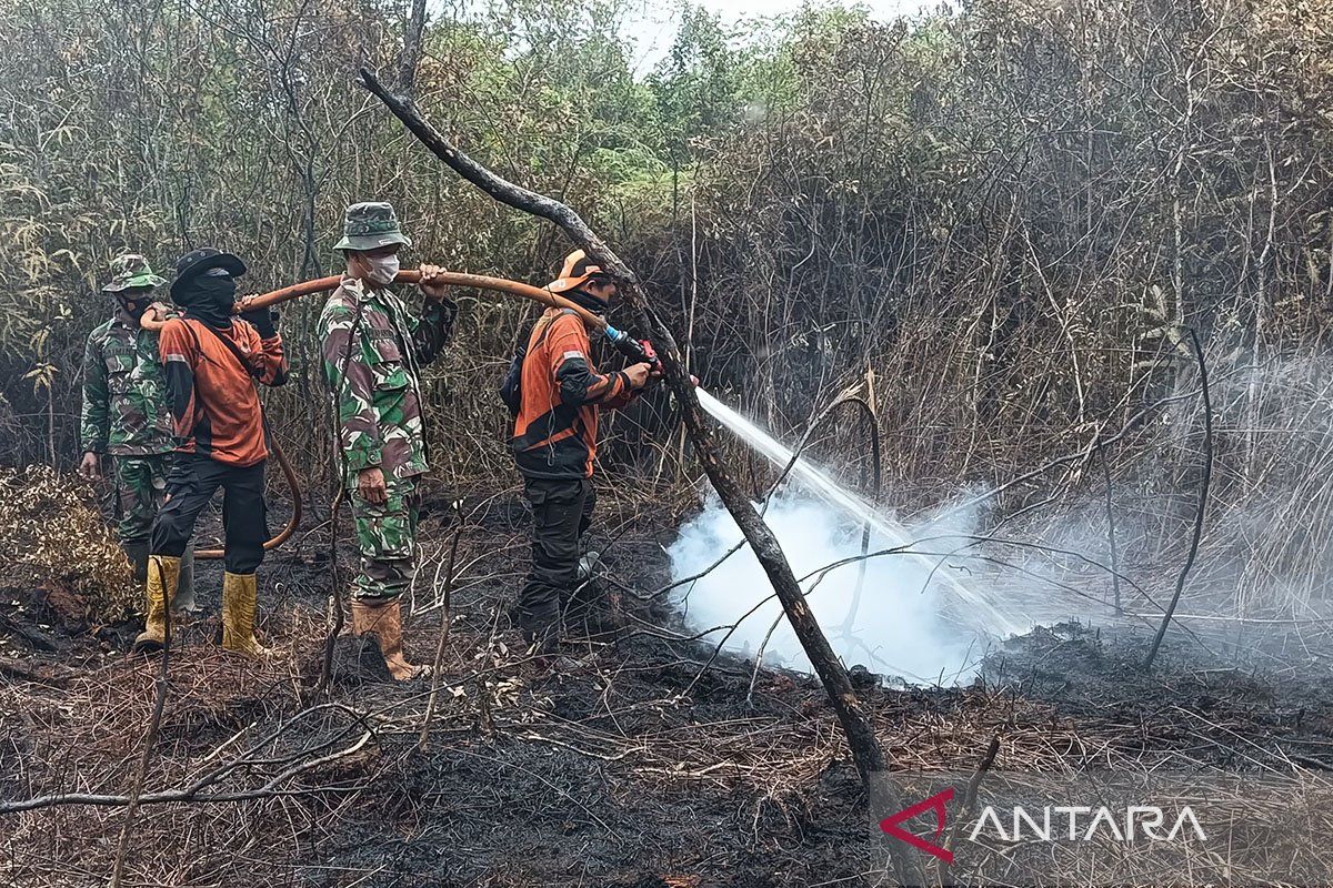 BPBD Muara Enim sebut karhutla di Sungai Rotan capai 10 hektare