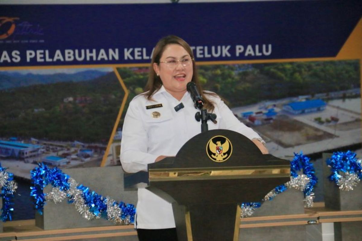 Donggala alokasikan Rp1 miliar untuk pelatihan kain tenun