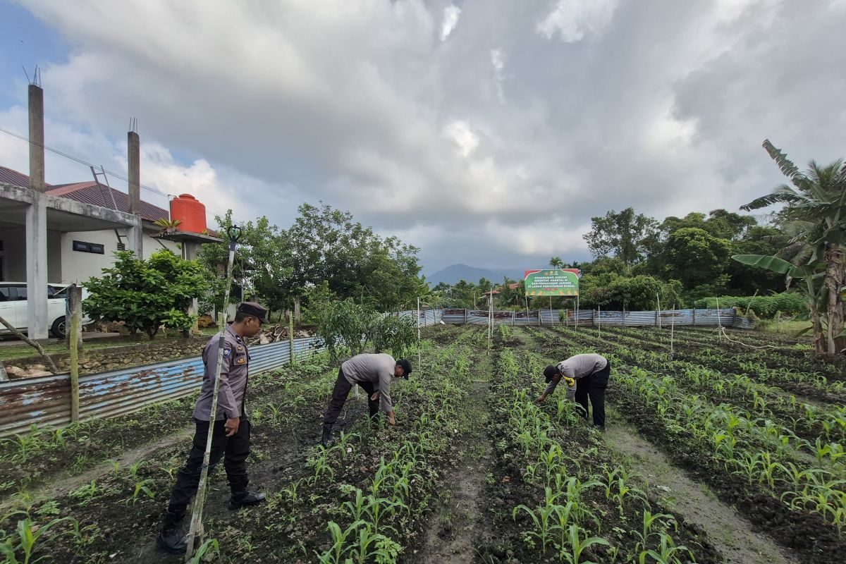 Polres Lingga kelola lahan perhutanan sosial untuk program ketahanan pangan