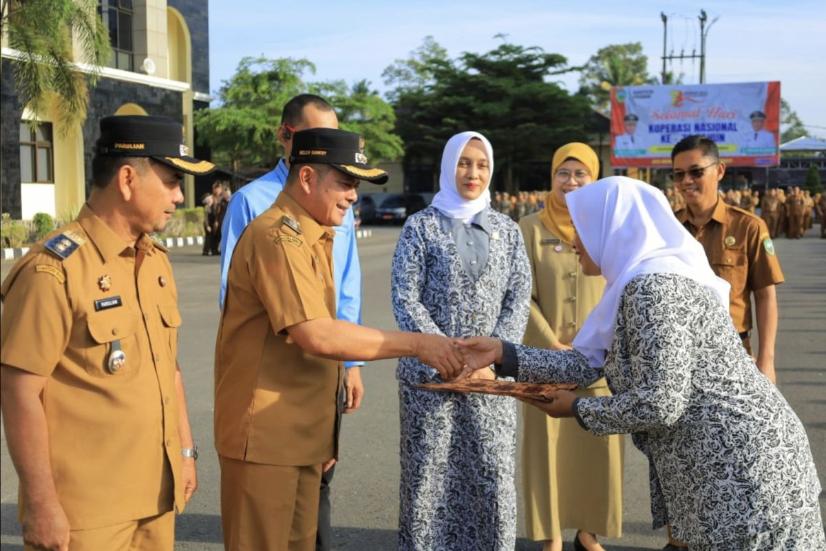Pemkab Pasaman apresiasi Bidan Dona arungi sungai obati pasien