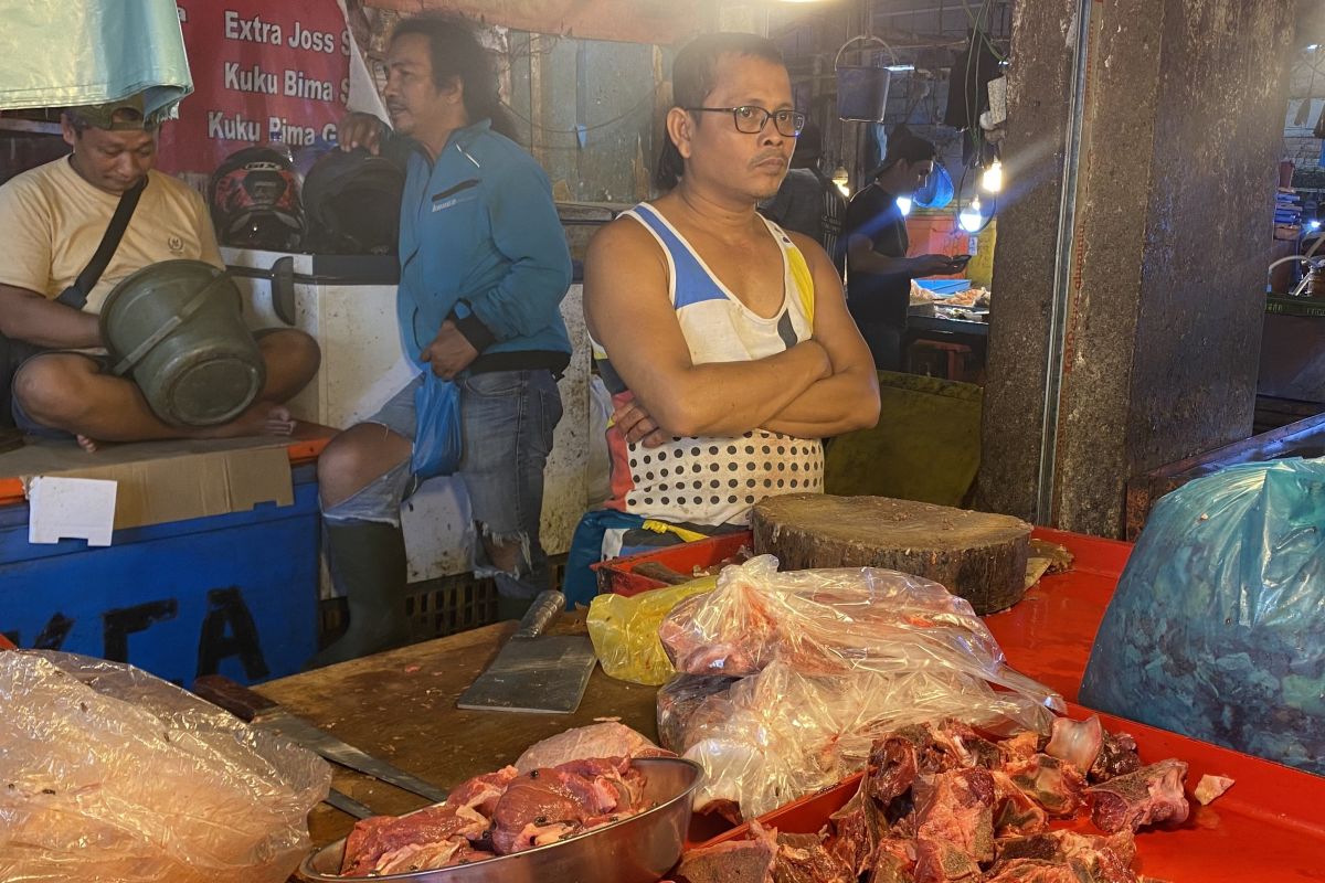 Ahli gizi ungkap mengapa kualitas gizi daging sapi lokal dan impor berbeda