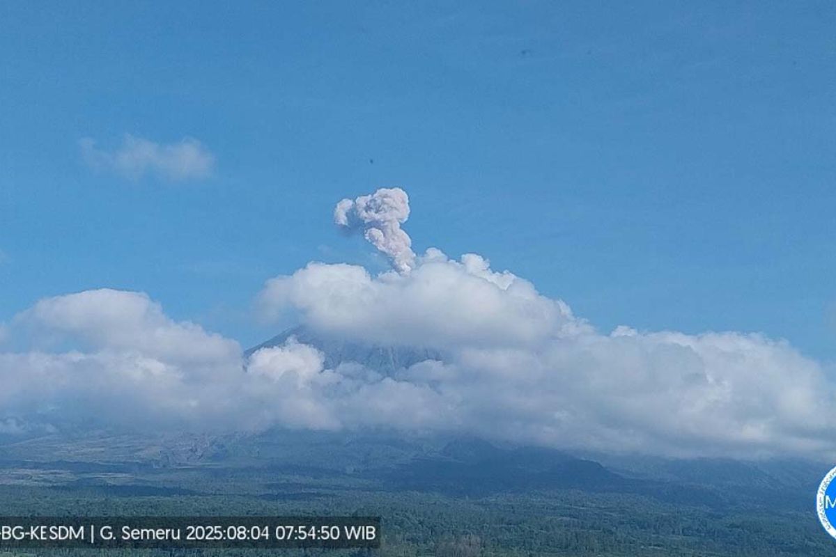 Gunung Semeru erupsi dengan letusan setinggi 800 meter di atas puncak