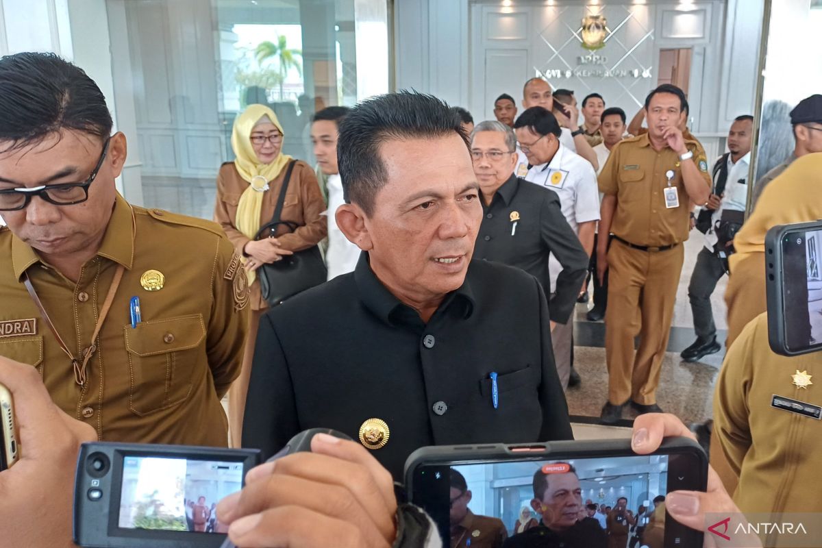 Gubernur Kepri: Realisasi investasi per triwulan II capai Rp29 triliun