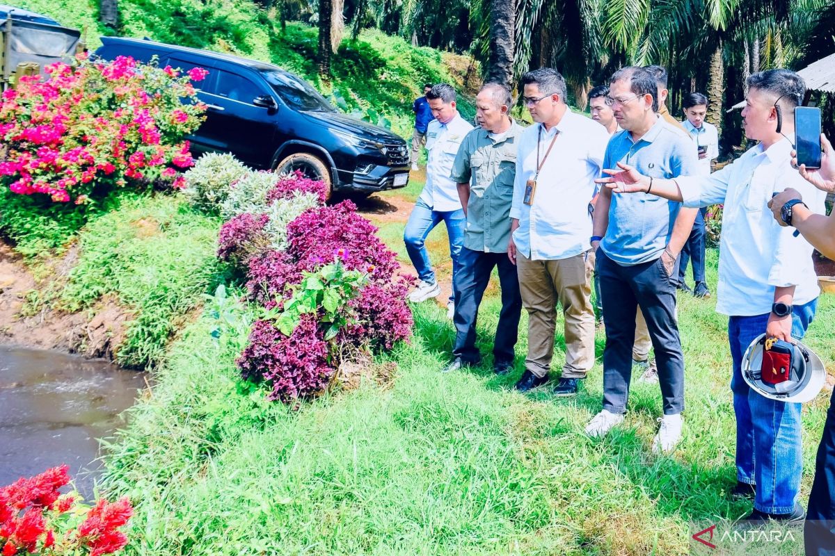 DPR soroti pentingnya tata kelola lingkungan pada industri sawit