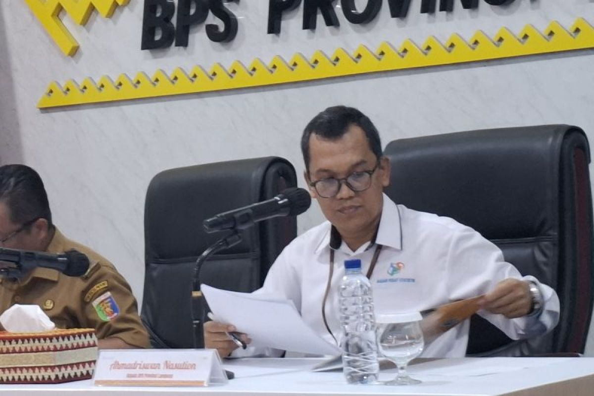 BPS: Industri pengolahan jadi sektor dengan pertumbuhan cepat di Lampung