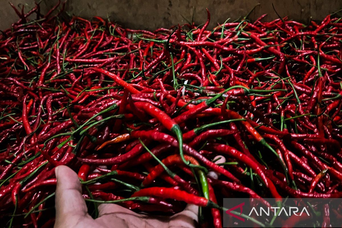 Bapanas: Harga cabai rawit Rp52.904/kg, bawang merah Rp47.836/kg