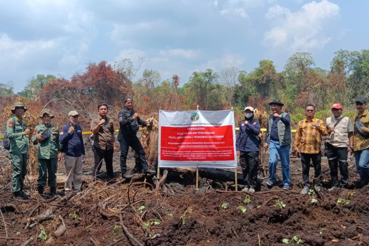 Three firms sealed in Riau over burning peatlands: Forestry Ministry