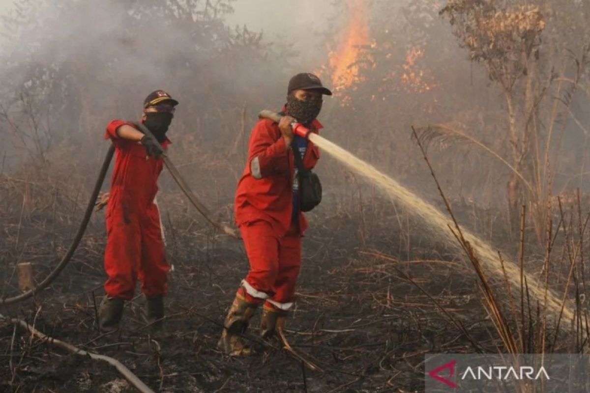 Pemprov Riau perpanjang status tanggap darurat karhutla hingga 14 hari ke depan