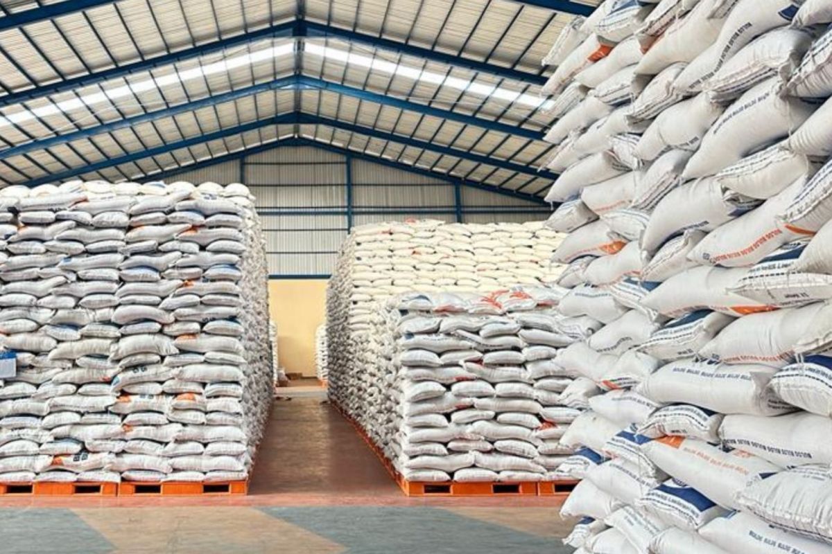 Bulog readies 10 thousand tons rice aid for Palestine