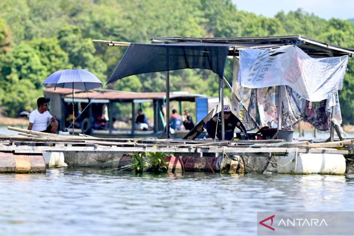 Gelombang di Kotabaru berpotensi capai 2,5 meter