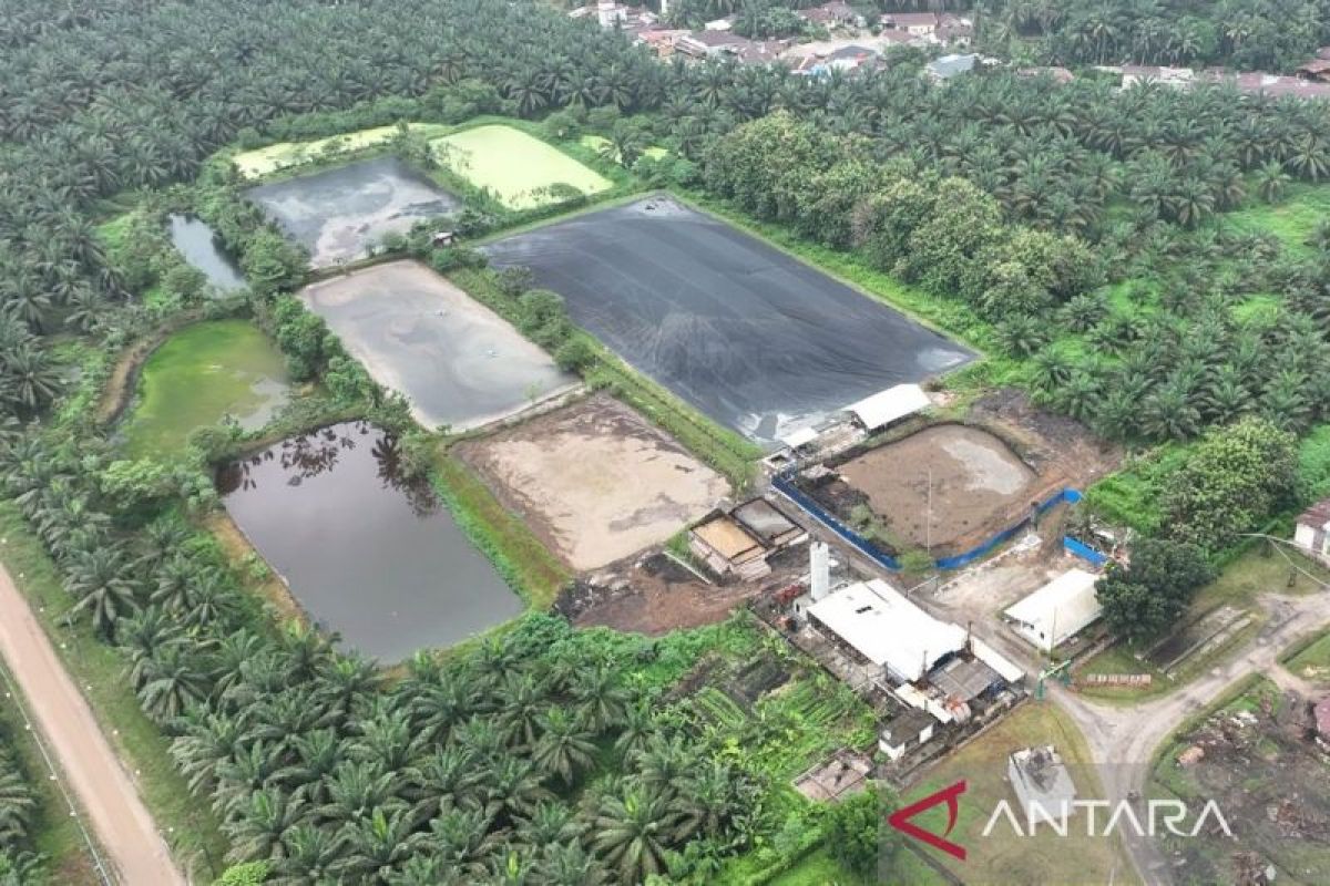 PKS Tandun PTPN IV Regional III Ubah Limbah Jadi Listrik Ramah Lingkungan