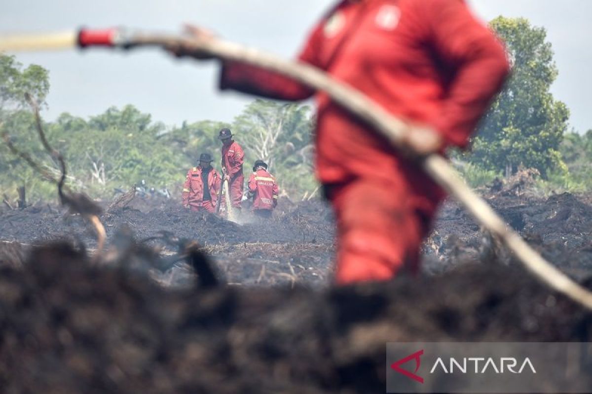 Anomali cuaca, BNPB minta pemda siaga banjir dan karhutla sekaligus