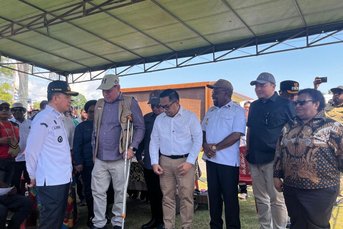 Wamendagri optimistis partisipasi pemilih PSU Papua meningkat