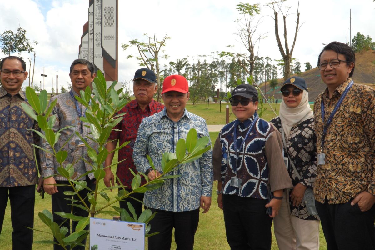 Wamenlu ajak diaspora jadi mitra strategis pembangunan nasional