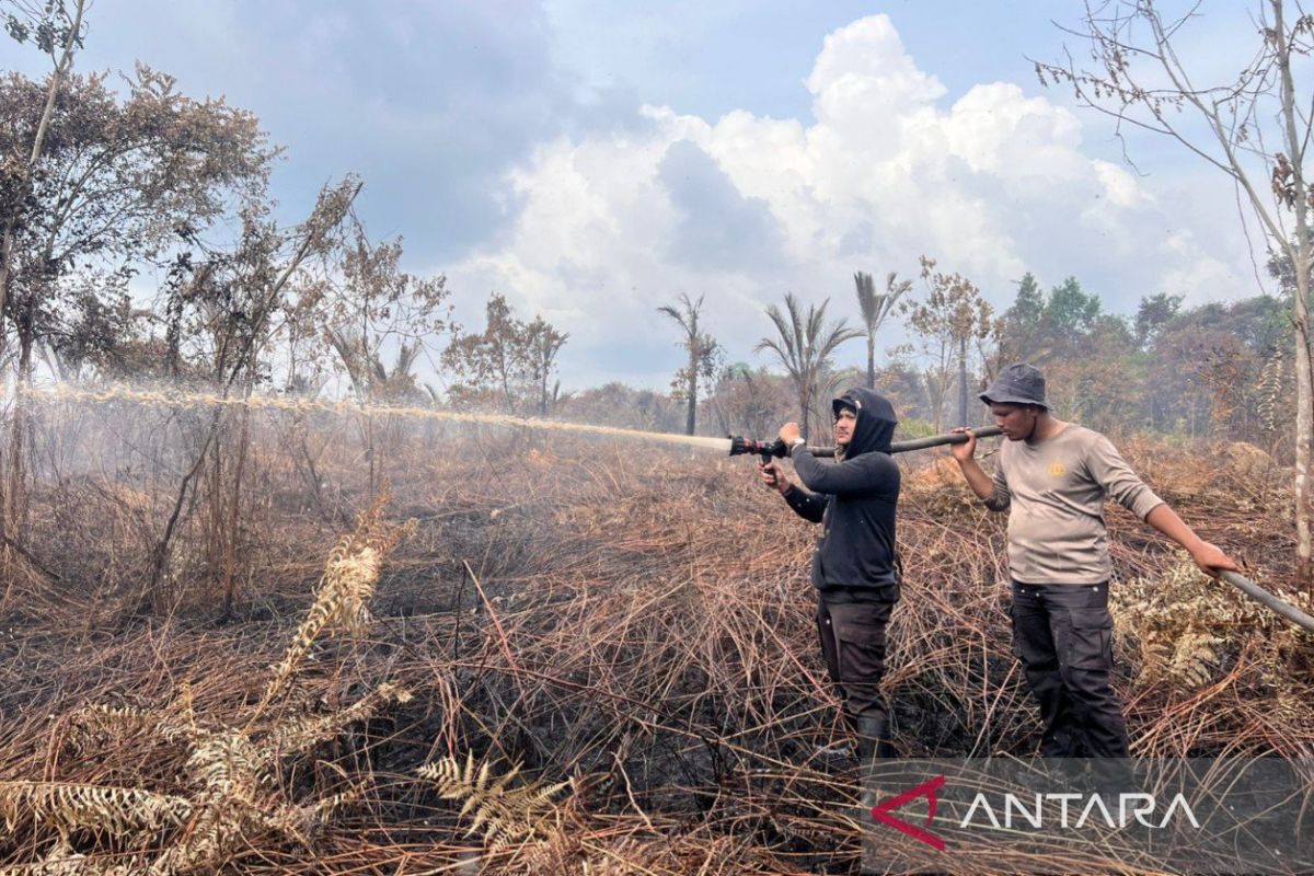 19 hari melawan api, karhutla Tanjung Peranap akhirnya padam