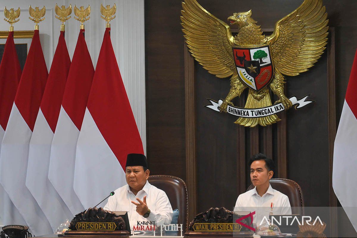 Indonesia's food production remains strong, safe: Prabowo