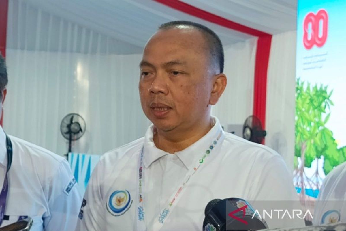 Kamal Muara mangrove area to protect coastal ecosystem: govt