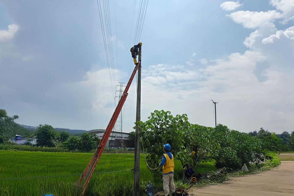 PLN operasikan pompa persawahan di Ponorogo dukung ketahanan pangan